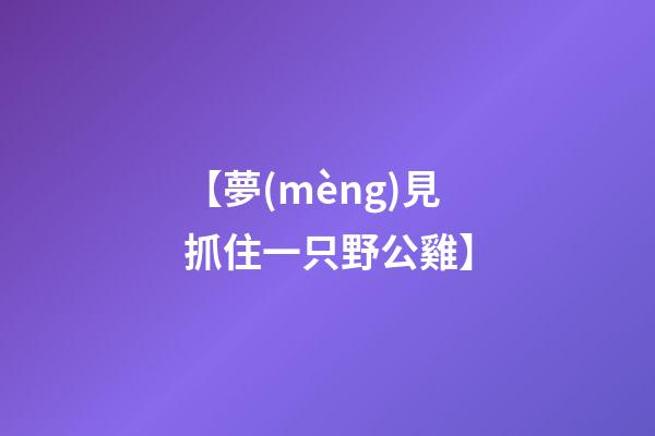 【夢(mèng)見抓住一只野公雞】