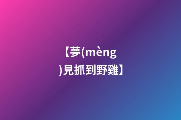【夢(mèng)見抓到野雞】