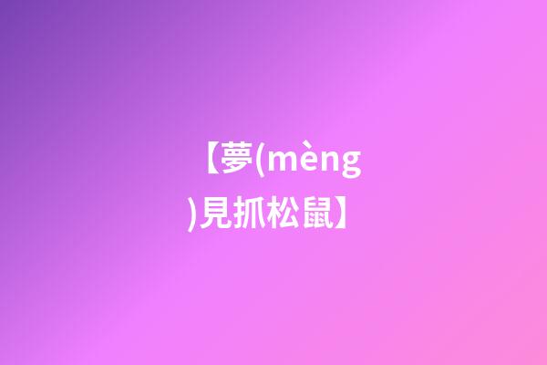 【夢(mèng)見抓松鼠】