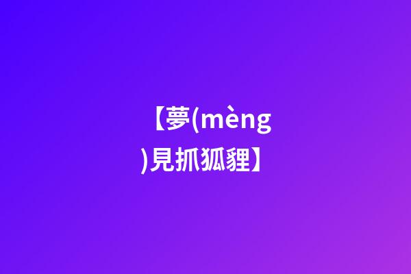 【夢(mèng)見抓狐貍】