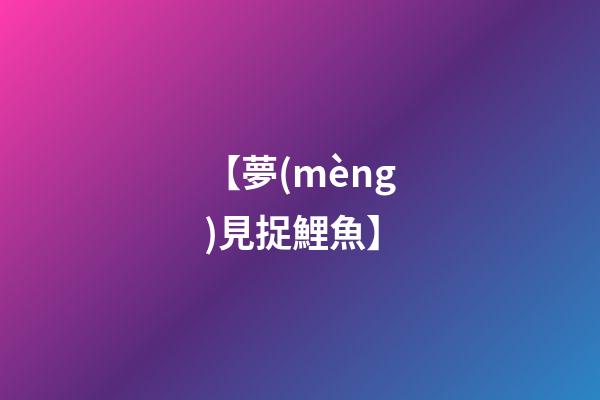 【夢(mèng)見捉鯉魚】