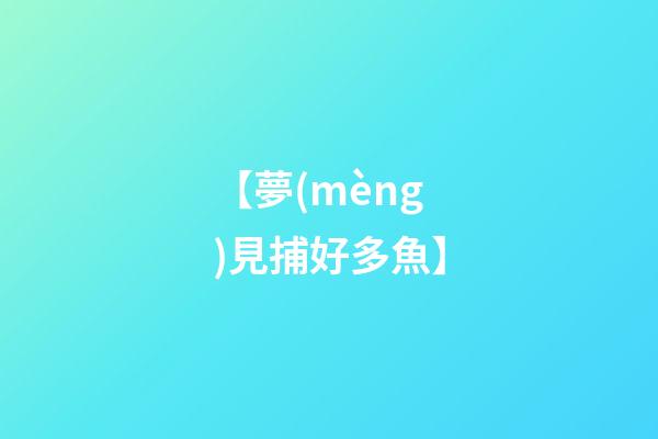 【夢(mèng)見捕好多魚】