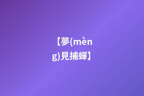 【夢(mèng)見捕蟬】