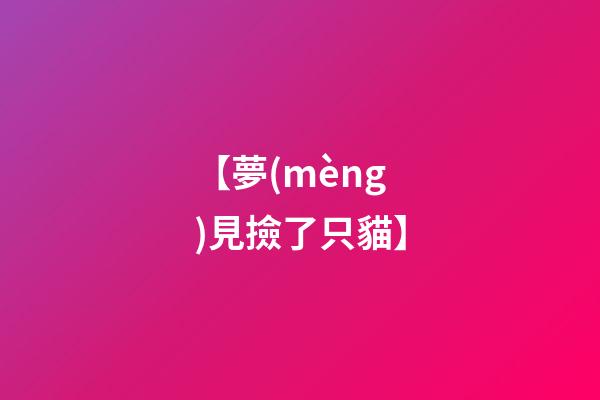 【夢(mèng)見撿了只貓】