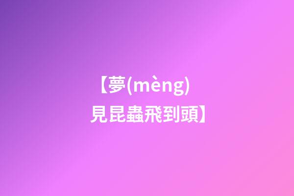 【夢(mèng)見昆蟲飛到頭】