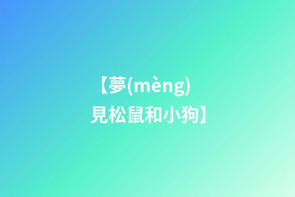 【夢(mèng)見松鼠和小狗】