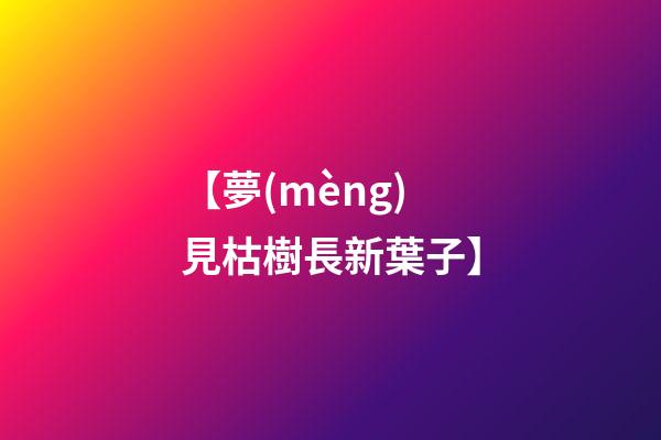 【夢(mèng)見枯樹長新葉子】