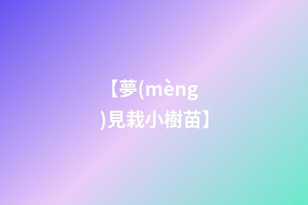 【夢(mèng)見栽小樹苗】