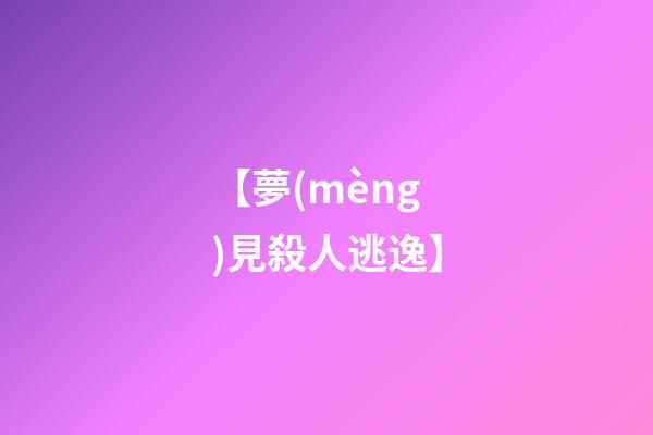 【夢(mèng)見殺人逃逸】