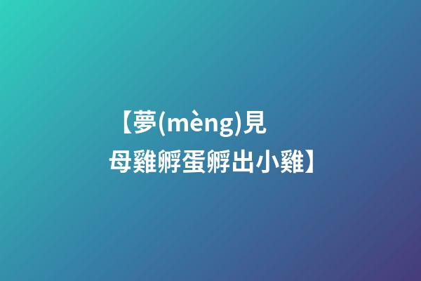【夢(mèng)見母雞孵蛋孵出小雞】