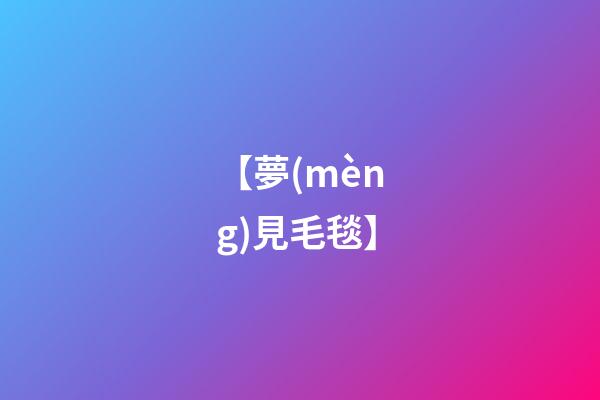 【夢(mèng)見毛毯】