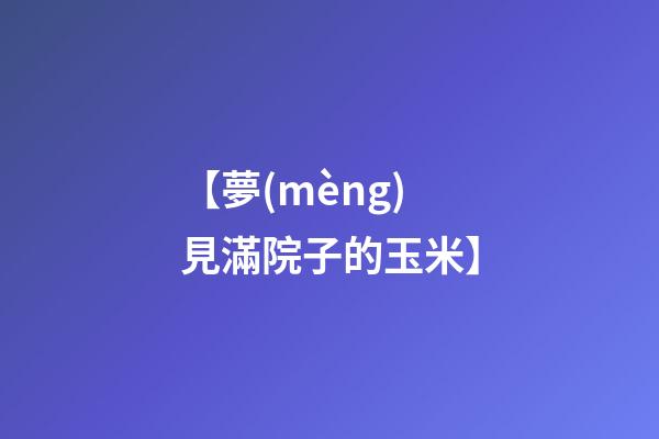 【夢(mèng)見滿院子的玉米】