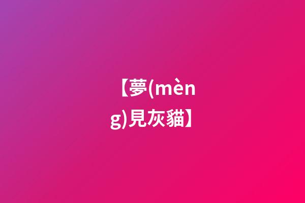 【夢(mèng)見灰貓】