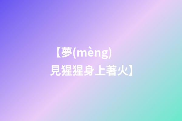【夢(mèng)見猩猩身上著火】