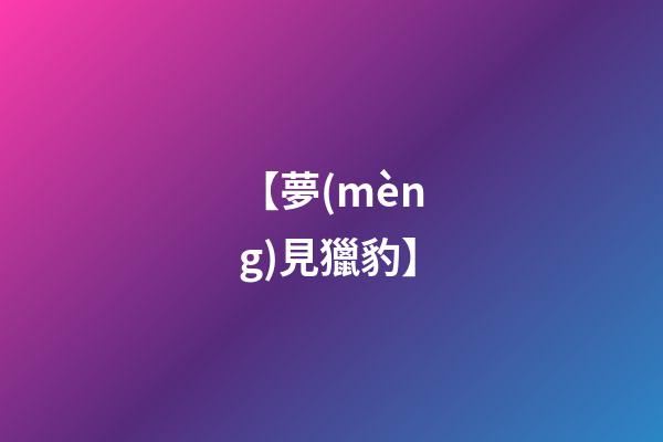 【夢(mèng)見獵豹】