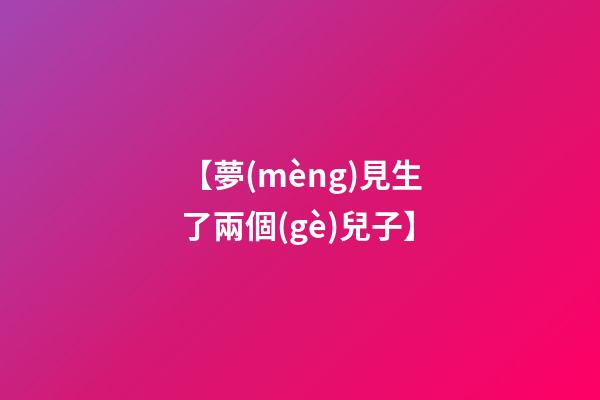 【夢(mèng)見生了兩個(gè)兒子】
