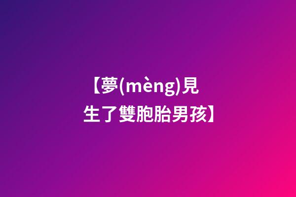 【夢(mèng)見生了雙胞胎男孩】