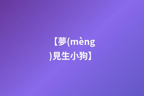 【夢(mèng)見生小狗】