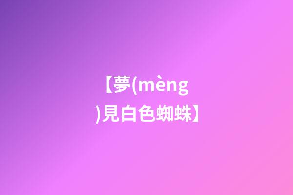 【夢(mèng)見白色蜘蛛】