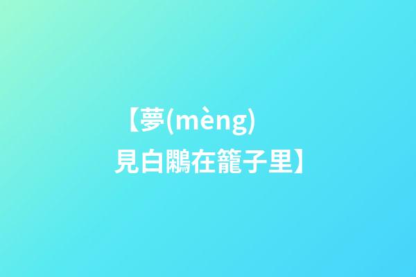 【夢(mèng)見白鷴在籠子里】