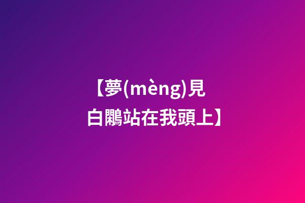 【夢(mèng)見白鷴站在我頭上】