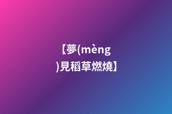 【夢(mèng)見稻草燃燒】