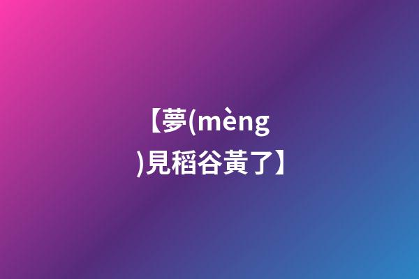 【夢(mèng)見稻谷黃了】