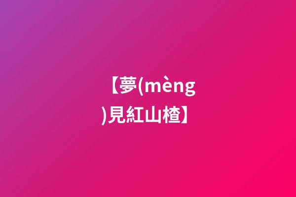 【夢(mèng)見紅山楂】