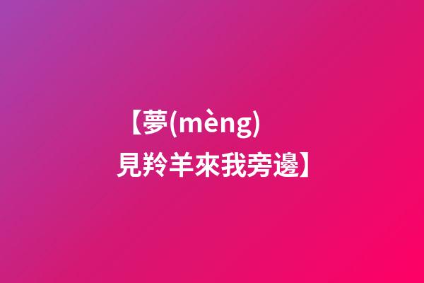 【夢(mèng)見羚羊來我旁邊】