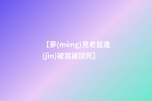 【夢(mèng)見老鼠進(jìn)被窩被捏死】