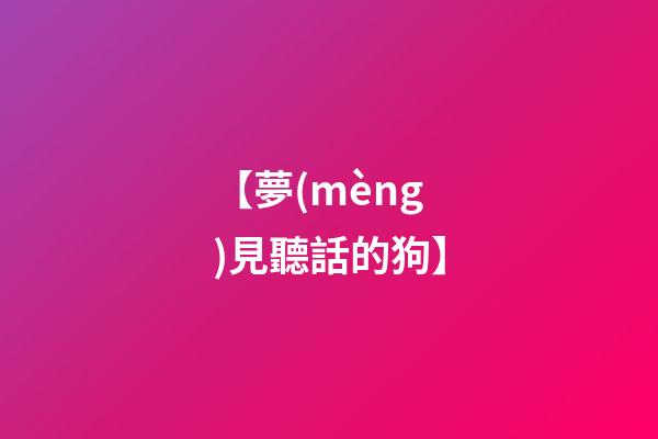【夢(mèng)見聽話的狗】