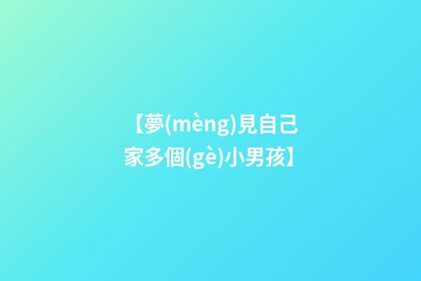 【夢(mèng)見自己家多個(gè)小男孩】