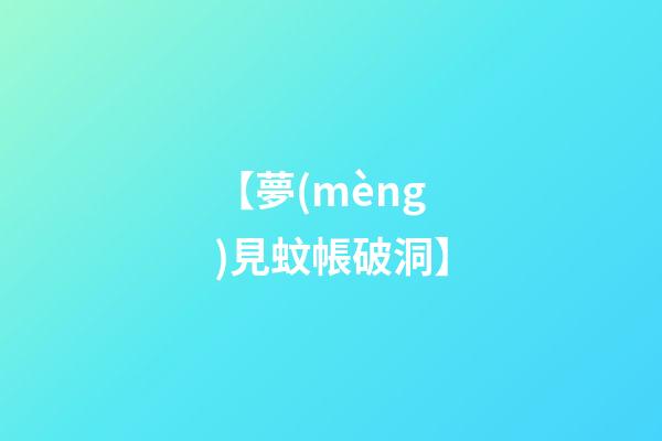 【夢(mèng)見蚊帳破洞】
