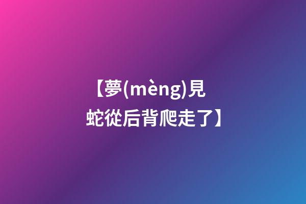 【夢(mèng)見蛇從后背爬走了】