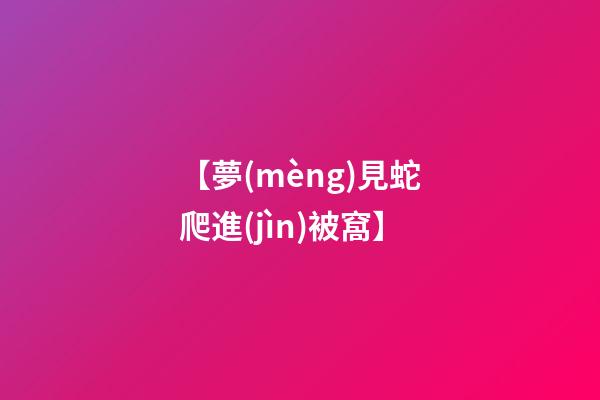 【夢(mèng)見蛇爬進(jìn)被窩】