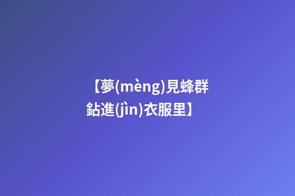【夢(mèng)見蜂群鉆進(jìn)衣服里】