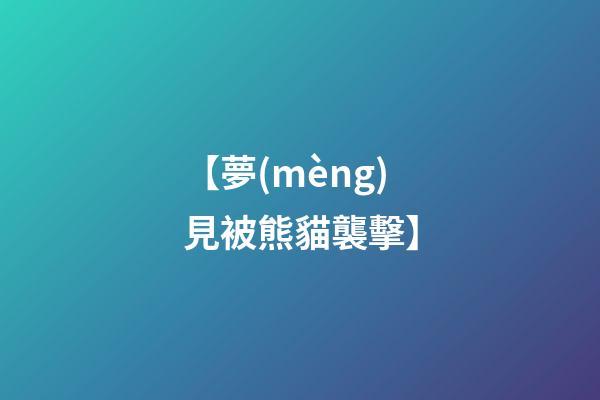 【夢(mèng)見被熊貓襲擊】