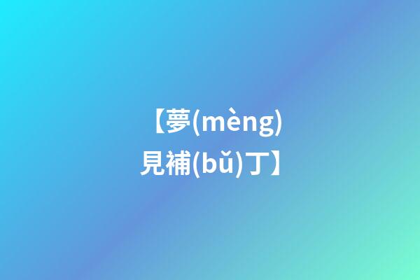 【夢(mèng)見補(bǔ)丁】