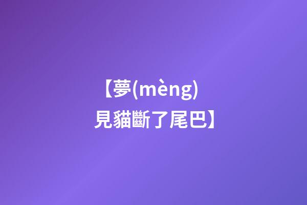 【夢(mèng)見貓斷了尾巴】