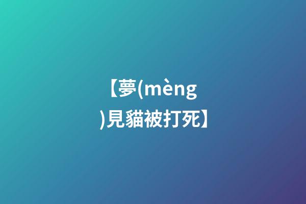 【夢(mèng)見貓被打死】