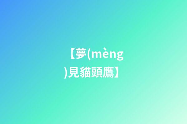【夢(mèng)見貓頭鷹】