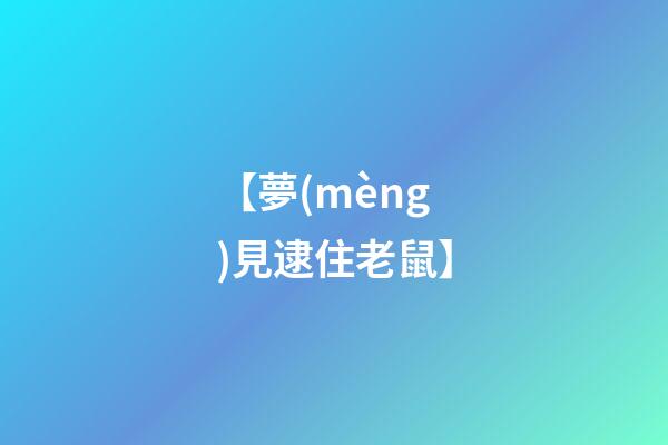 【夢(mèng)見逮住老鼠】