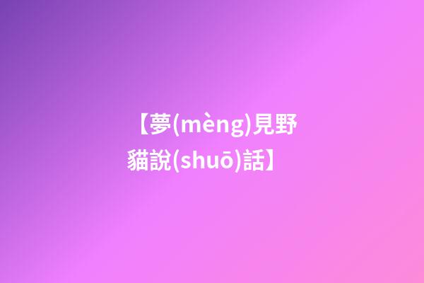 【夢(mèng)見野貓說(shuō)話】