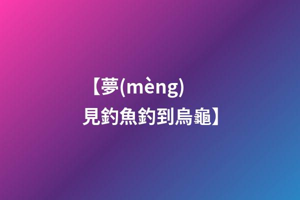 【夢(mèng)見釣魚釣到烏龜】