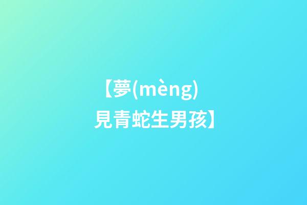 【夢(mèng)見青蛇生男孩】