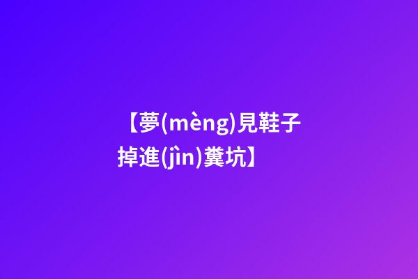 【夢(mèng)見鞋子掉進(jìn)糞坑】