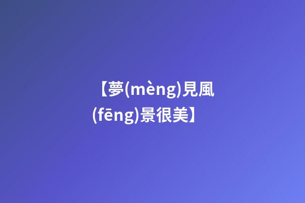 【夢(mèng)見風(fēng)景很美】