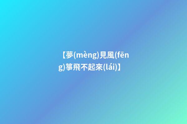 【夢(mèng)見風(fēng)箏飛不起來(lái)】