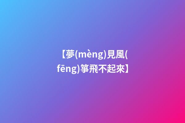 【夢(mèng)見風(fēng)箏飛不起來】