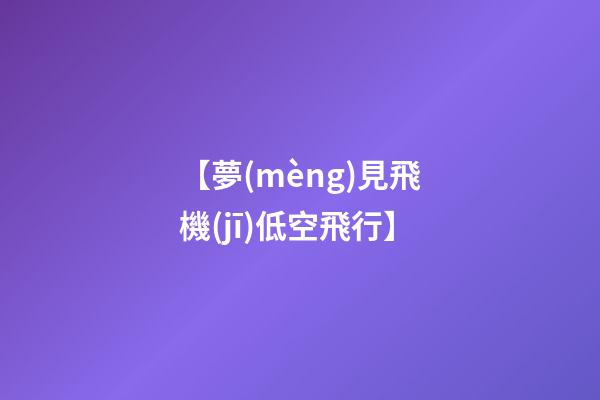 【夢(mèng)見飛機(jī)低空飛行】